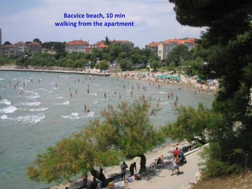 A2 - Apartment In The Very Heart Of Split