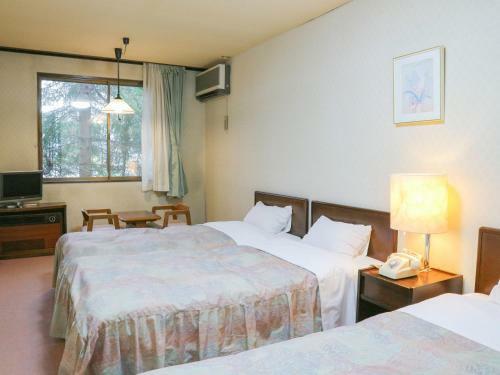 Hakuba Park Hotel