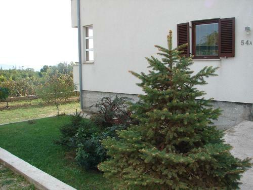 Apartments Damir - On The Sea Side