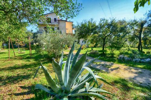 Hostal Apartments With Pool Albina