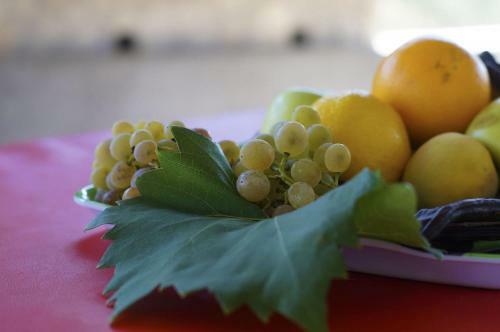 Holiday Home Senka1 - Pure Nature