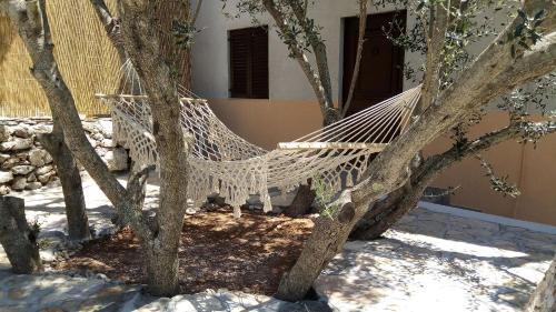Apartments Franica