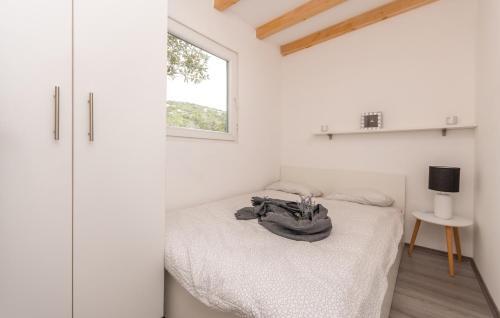 Luxury Bungalows With Pool Dream Of Kornati