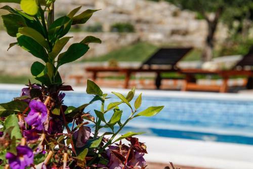 Clay Apartment 2 With Pool