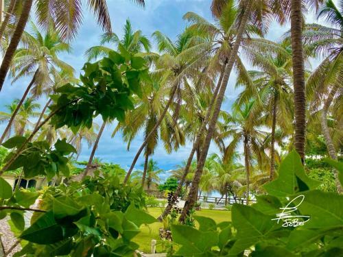 Emerald View Hotel
