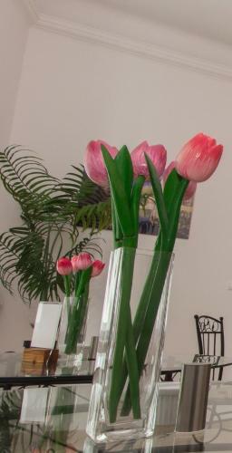 Bed & Breakfast Butterfly Home Danube