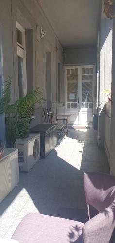 Bed & Breakfast Butterfly Home Danube