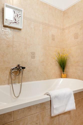 Apartamento Grand Budapest Penthouse