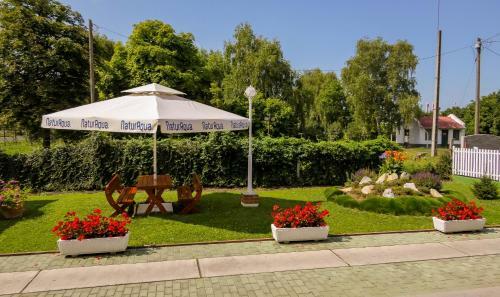 Bed & Breakfast Hbh Bajor S�rh�z, �tterem �s Panzi�