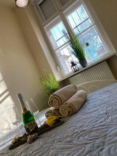 Pedal Apartman Szeged City