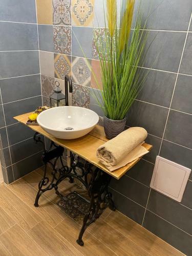 Pedal Apartman Szeged City