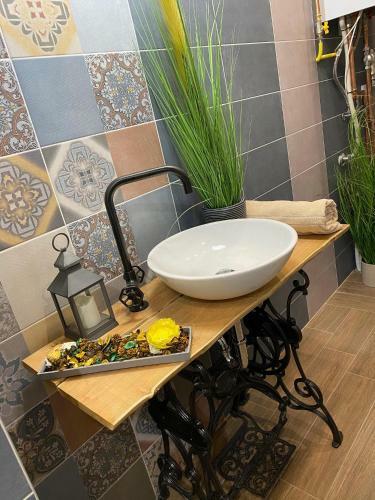 Pedal Apartman Szeged City