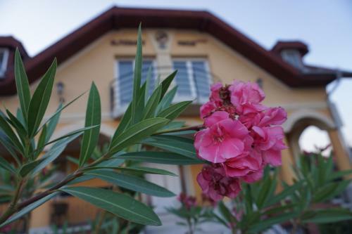 Bed & Breakfast Airport Alm�skert Panzi�