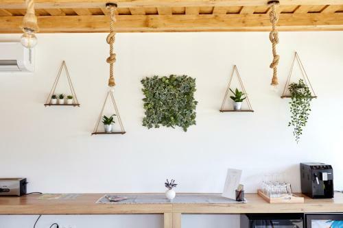 Bed & Breakfast Naturella Panzi�