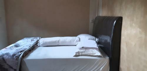 Hostal Airangga Home Stay Berastagi
