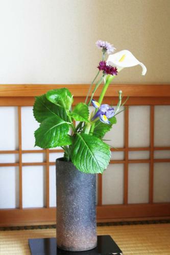 Unzen Miyazaki Ryokan