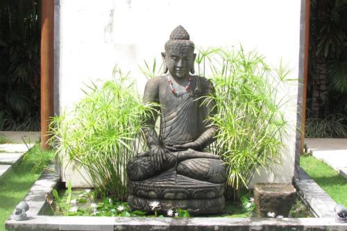 Luxury 2 Bedroom Villa With Private Pool, Bali Villa 1142