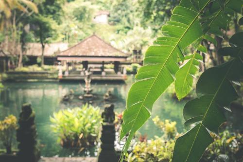 Luxury 2 Bedroom Villa With Private Pool, Bali Villa 1142