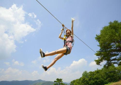 Hotel Holiday House Green Garden