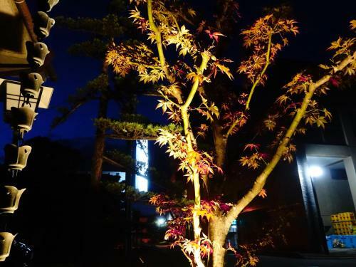 Apartamentos Oimatsuen