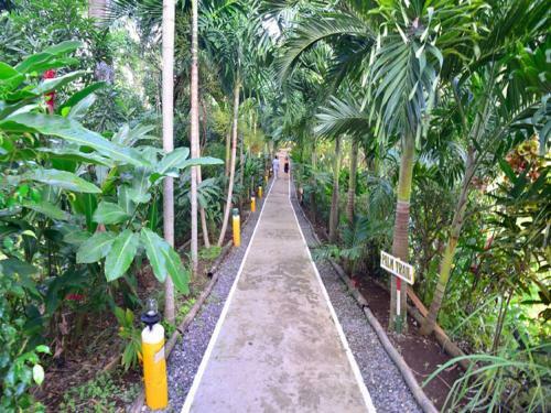 Hotel Bay View Eco Resort & Spa