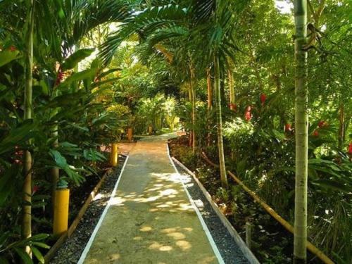 Hotel Bay View Eco Resort & Spa