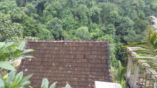 Hostal Bayu House And Villas