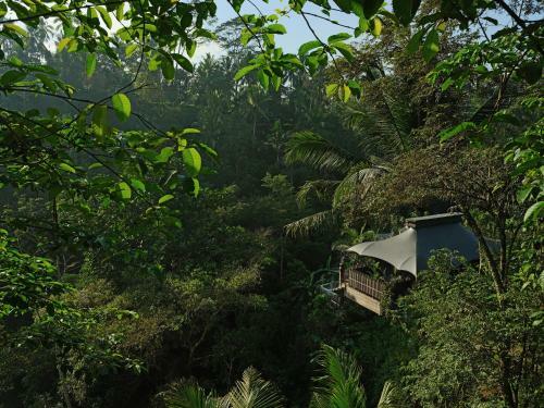 Hotel Capella Ubud, Bali