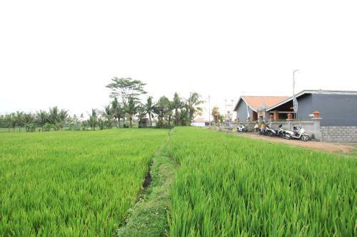 Hostal Ayuna Family Ubud
