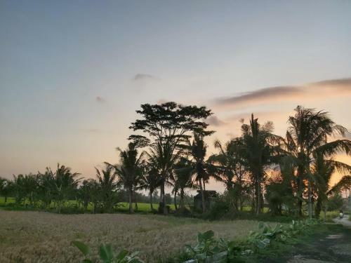 Hostal Ayuna Family Ubud