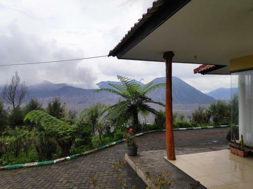 Hostal Guesthouse Gunung Bromo