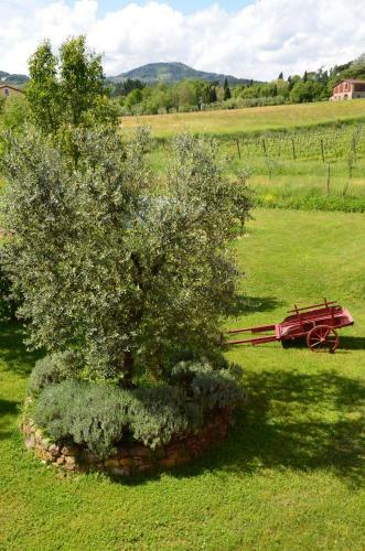 Agroturismo Agriturismo Al Podere Di Rosa