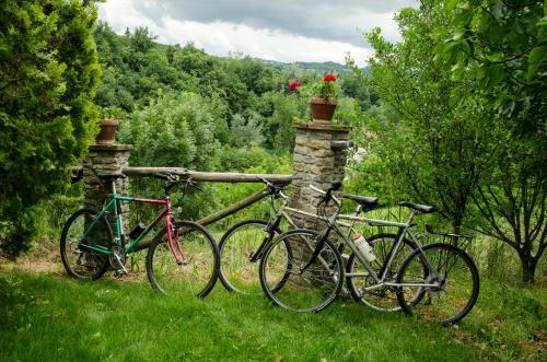 B&B Il Sole Delle Rive