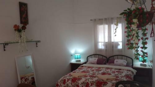 Apartamento Oasis Guest House