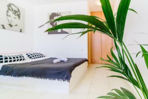 Carmel Market Apartments - By Comfort Zone Tlv