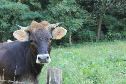 Agroturismo Agriturismo Biobi�