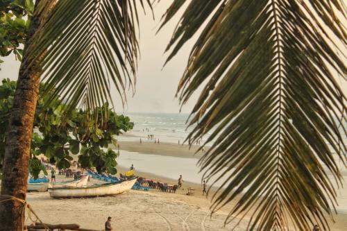 Hostal This Is It - Beach Hostel, Rooms And Huts