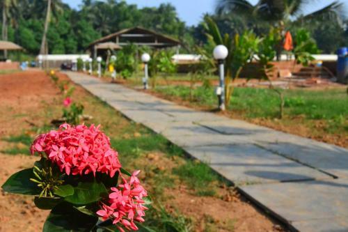 Hotel Radhika Eco Resort(odonata)