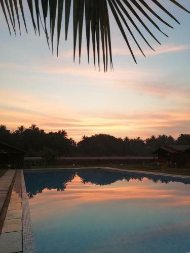 Hotel Radhika Eco Resort(odonata)
