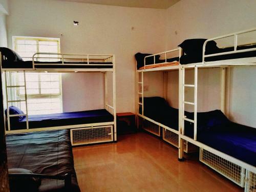 Vimbivouac Backpacker's & Biker's Hostel