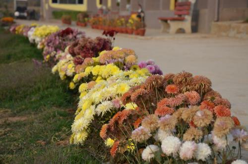 Hotel Eco Adventure Resorts Khhairabera