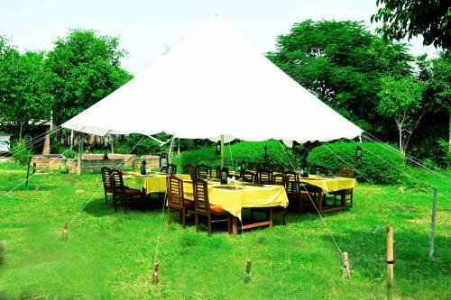 Hotel Chambal Wildlife S Lodge
