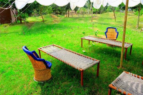 Hotel Chambal Wildlife S Lodge
