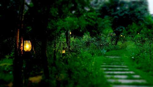 Hotel Chambal Wildlife S Lodge