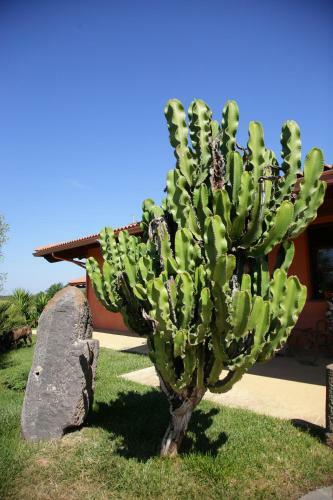 Agroturismo Cuccuruaio' B&B
