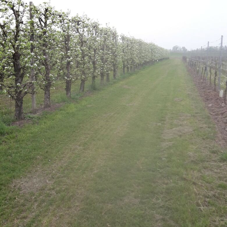 Agroturismo Agriturismo Dosso Al Porto