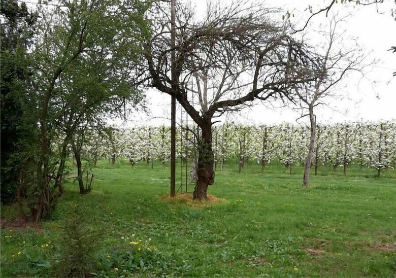 Agroturismo Agriturismo Dosso Al Porto