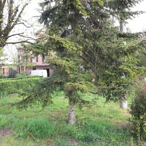 Agroturismo Agriturismo Dosso Al Porto