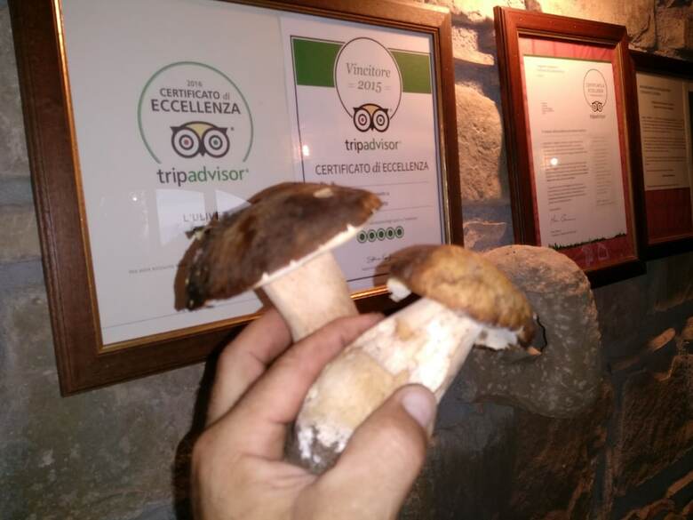 Agroturismo L'uliveto