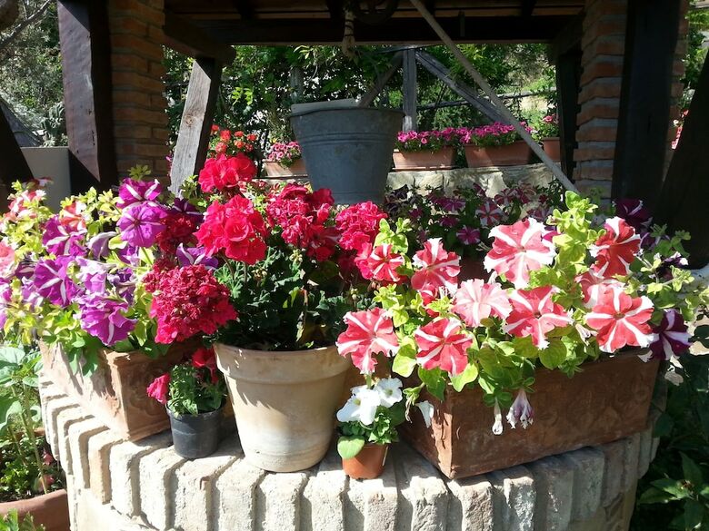 Agroturismo L'uliveto